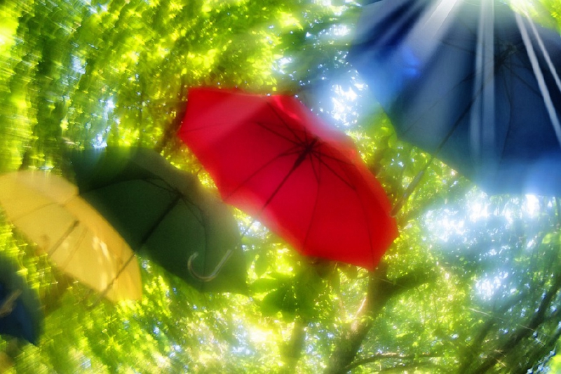 Рилеєв Сонячні парасольки