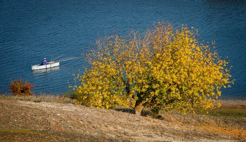 Юрий Кружнов 