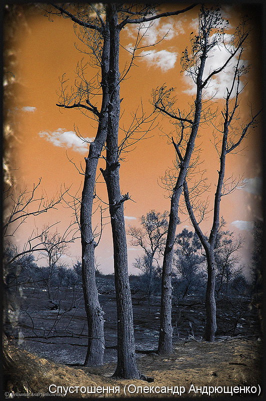 Південь-2008_87