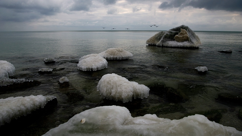 Юлія Гора Зимове море