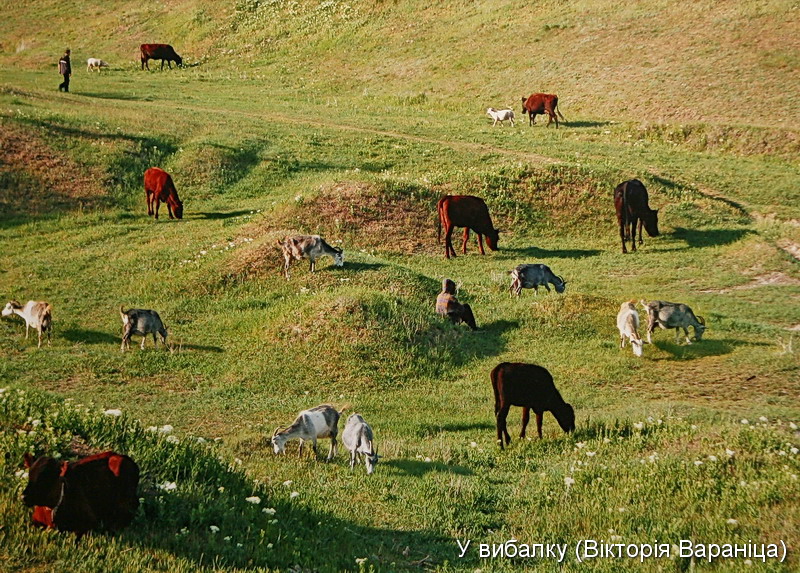 Південь-2008_89